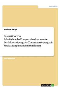 Evaluation von Arbeitsbeschaffungsmaßnahmen unter Berücksichtigung der Zusammenlegung mit Strukturanpassungsmaßnahmen