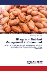 Tillage and Nutrient Management in Groundnut