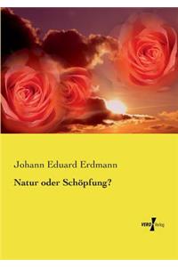 Natur oder Schöpfung?