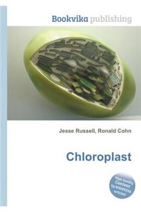 Chloroplast