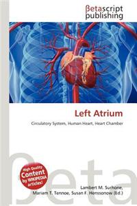 Left Atrium
