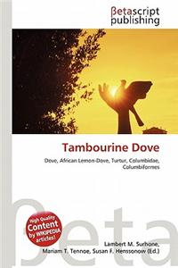 Tambourine Dove