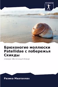 Брюхоногие моллюски Patellidae с побережья Скикды
