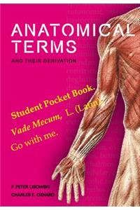 Anatomical Terms And Their Derivation