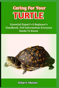 Caring For Your Turtle