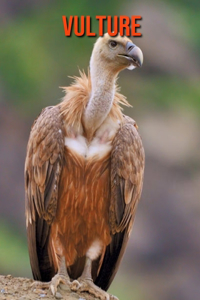 Vulture