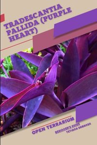 Tradescantia pallida (Purple Heart)