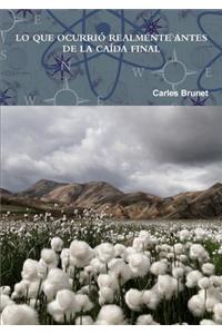LO QUE OCURRIÓ REALMENTE ANTES DE LA CAÍDA FINAL