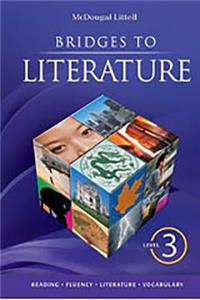 Bridges to Literature