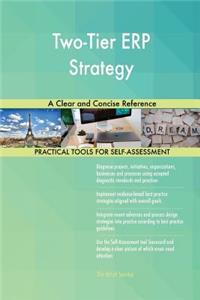 Two-Tier ERP Strategy A Clear and Concise Reference