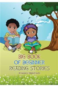 Big Book of Beginner Reading Stories