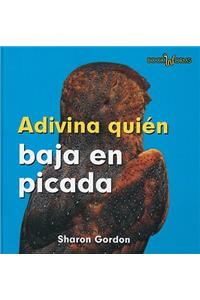 Adivina Quién Baja En Picada (Guess Who Swoops)