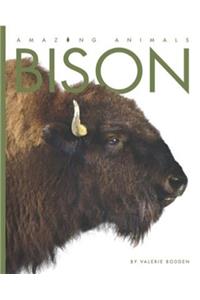 Bison