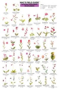 Mac's Field Guides: Pacific NW Wildflowers