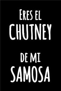 Eres el Chutney de mi Samosa