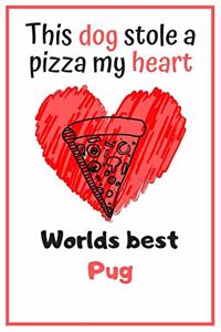 This Dog Stole A Pizza My Heart Worlds Best Pug