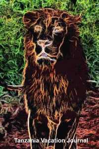 Tanzania Vacation Journal