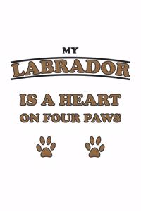 My Labrador is a heart on four paws