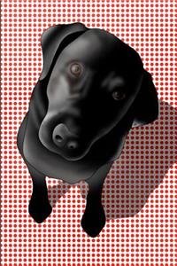 Dot Grid Notebook - Black Labrador