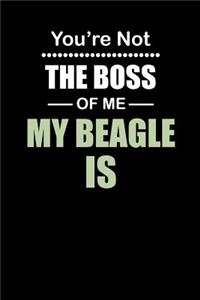 You're not the Boss of Me My Beagle Is