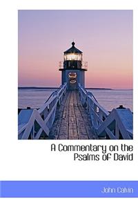 A Commentary on the Psalms of David