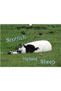 Scottish Highland Sheep (UK Version) 2017