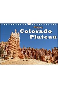 Hiking on the Colorado Plateau 2018