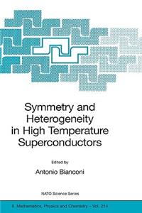 Symmetry and Heterogeneity in High Temperature Superconductors