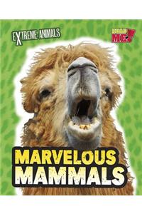 Marvelous Mammals