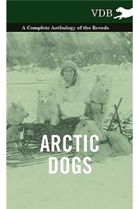 Arctic Dogs - A Complete Anthology of the Breeds -