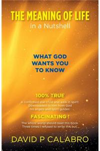 The Meaning of Life in a Nutshell: What God Wants You to Know