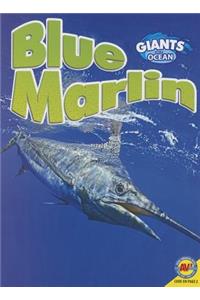 Blue Marlin