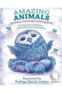 RELAXING Grown Up Coloring Book