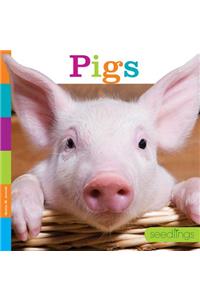 Pigs