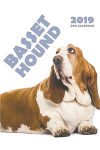 Basset Hound 2019 Calendar