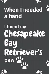 When I needed a hand, I found my Chesapeake Bay Retriever's paw