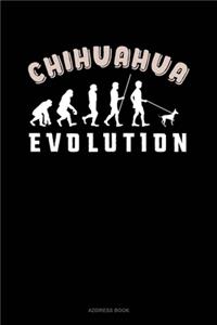 Chihuahua Evolution