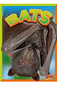 Bats