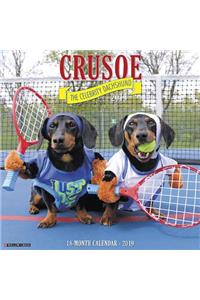 Crusoe the Celebrity Dachshund 2019 Wall Calendar (Dog Breed Calendar)