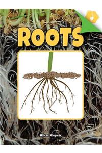 Roots