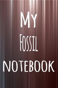 My Fossil Notebook