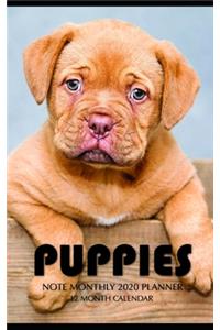 Puppies Note Monthly 2020 Planner 12 Month Calendar