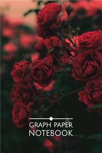 Graph Paper Notebook