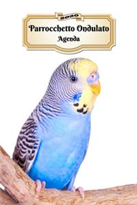 2020 Parrocchetto Ondulato Agenda