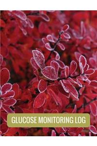 Glucose Monitoring Log