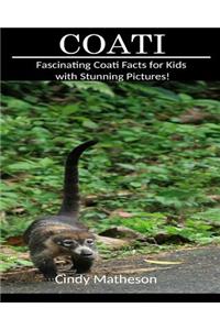 Coati: Fascinating Coati Facts for Kids with Stunning Pictures!