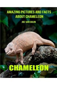 Chameleon: Amazing Pictures and Facts about Chameleon