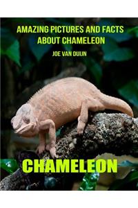 Chameleon