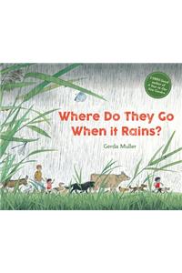 Where Do They Go When It Rains?