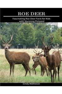 Roe Deer: Fascinating Roe Deer Facts for Kids with Stunning Pictures!